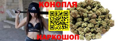стаф Абакан