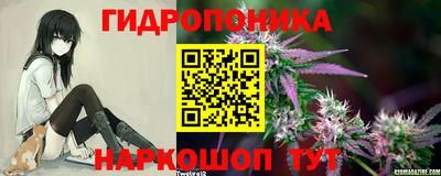 дживик Дубна