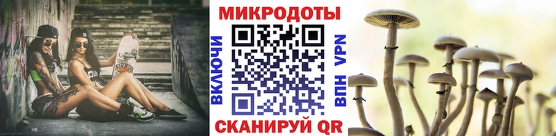 Галлюциногенные грибы MAGIC MUSHROOMS  продажа наркотиков  Изобильный 
